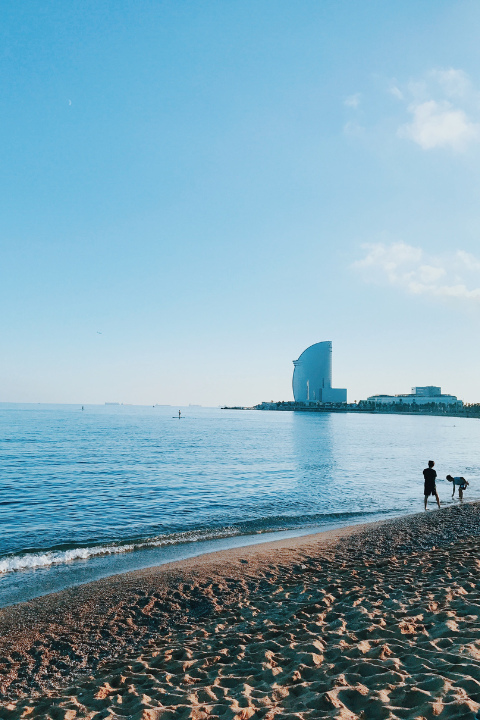 curso de apnea barcelona